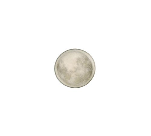 Тарелка с вертикальным бортом d 15,5 см h 2,1 см, Stoneware Selene