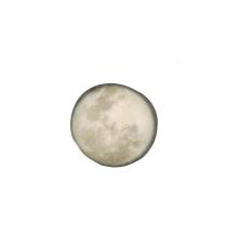 Тарелка d 30 см h 2 см, Stoneware Selene